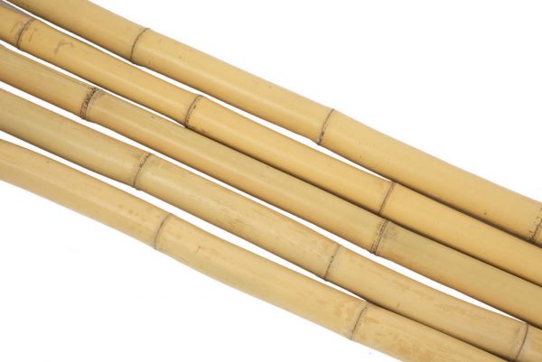 Large Bamboo Sticks