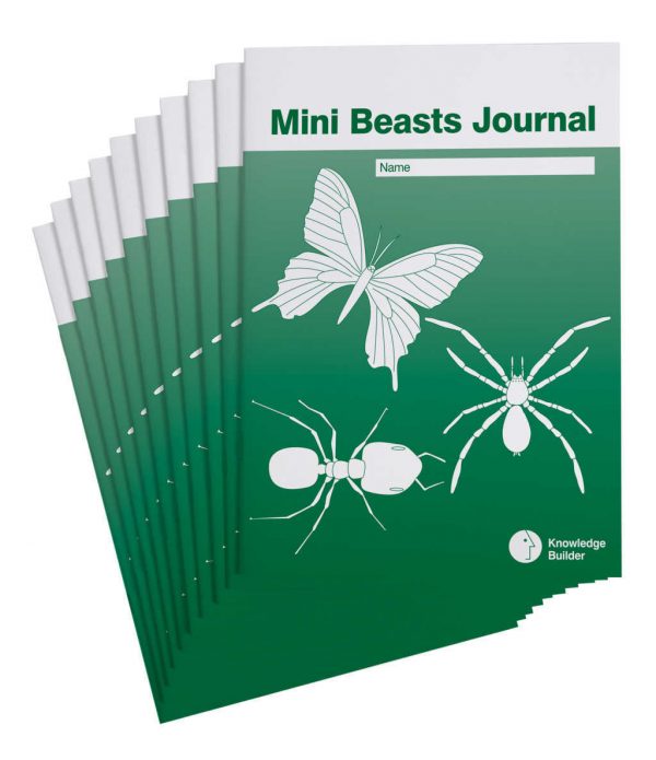 Mini Beast Journals (Set of 10)