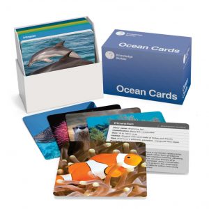 Ocean Cards